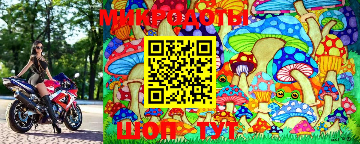 Галлюциногенные грибы Cubensis Россия