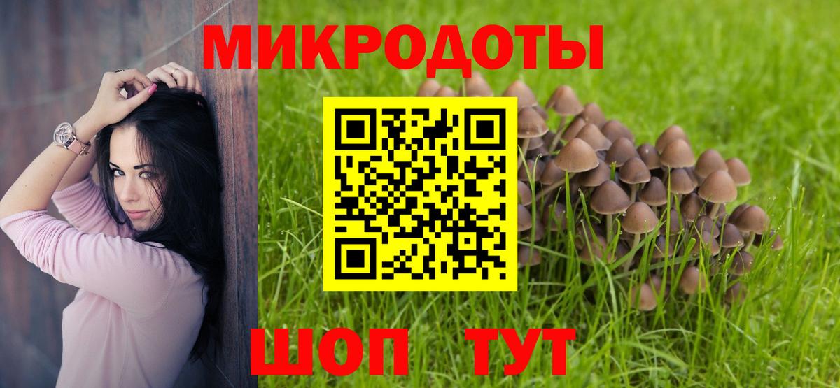 ГАШИШ Россия